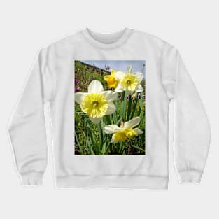 Yellow Daffodil Photo - Spring In the Garden Crewneck Sweatshirt